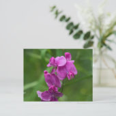  roze peper Briefkaart van zoete peper (Staand voorkant)