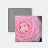 Roze Perfectie Camellia Magneet (Voorkant / Achterkant)