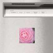 Roze Perfectie Camellia Magneet (Insitu (Vaatwasser))