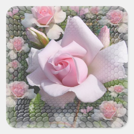 Roze perfectie ~ Sticker/ Envelope Sealer Classic Vierkante Sticker (Voorkant)
