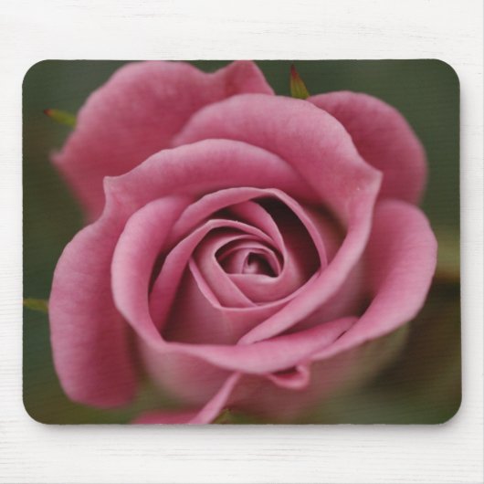 Roze Perfection Mousepad Muismat (Voorkant)