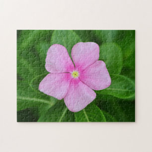 Roze Periwinkle Bloem Tuin Kunst Puzzel Legpuzzel