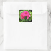 Roze periwinkle - Stickers van de Garden Party (Tas)