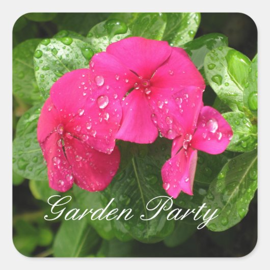 Roze periwinkle - Stickers van de Garden Party (Voorkant)
