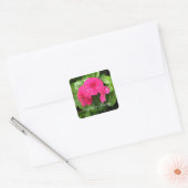 Roze periwinkle - Stickers van de Garden Party (Envelop)