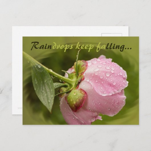 Roze peronenbloem met glitterende regendruppels CC Briefkaart (Voorkant / Achterkant)