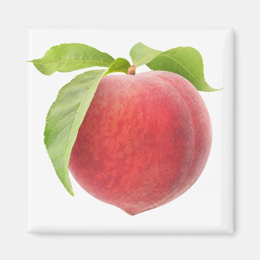 Roze perzik magneet (Voorkant)