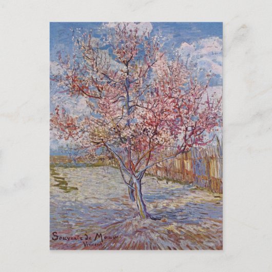 Roze perzikboom in bloesem (Herinking van de Mauve Briefkaart (Voorkant)