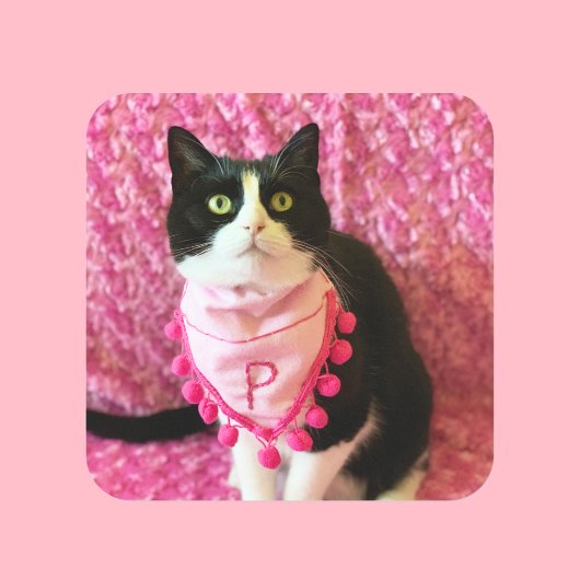 Roze Perziken de Tuxedo Cat Stickers