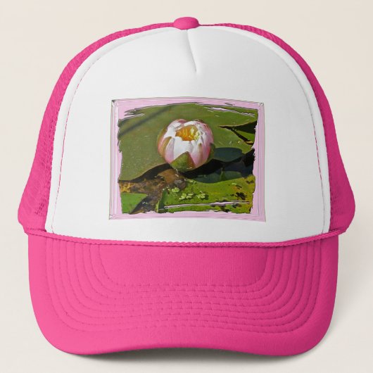 Roze Pet voor de riolering van Lily Bud (Voorkant)