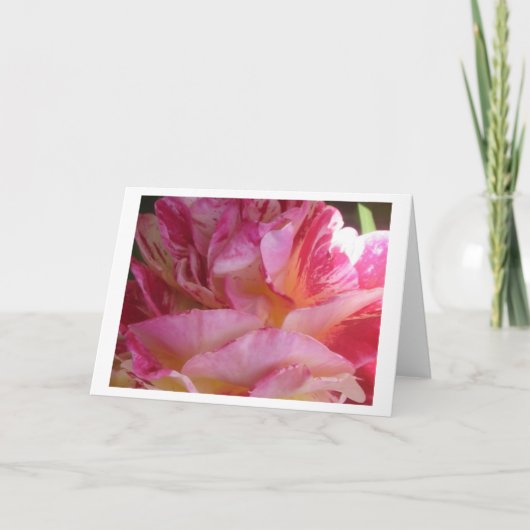 Roze petal Flutter Roos Greeting of Note Cards Kaart (Voorkant)
