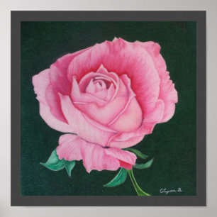 Roze petals 12-inch x12-inch afdrukken poster