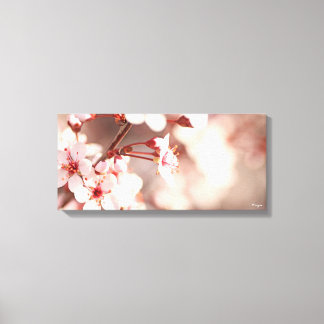 Roze Petals Canvas Afdruk