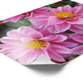 Roze Petals Foto Afdruk (Hoek)