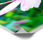 Roze Petals Poster (Hoek)