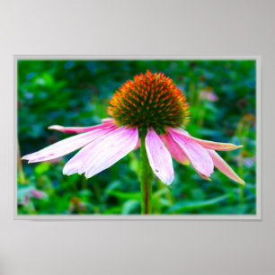 Roze Petals Poster