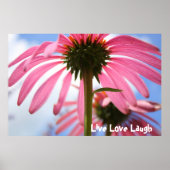 Roze petals poster (Voorkant)