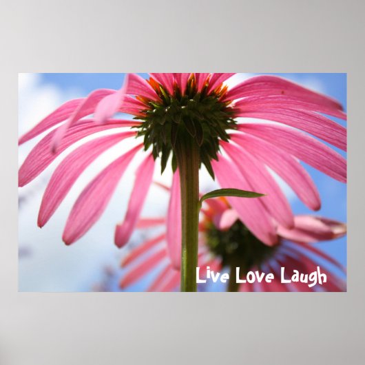 Roze petals poster (Voorkant)