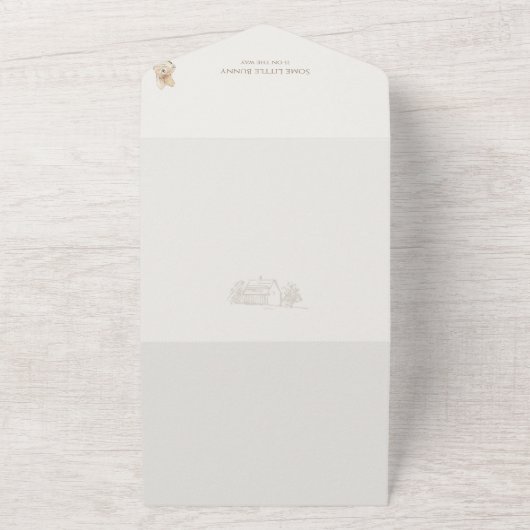 Roze Peter de Konijn Sommige Konijntje Baby shower All In One Uitnodiging (Buitenkant)