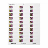 Roze petunia adreslabel etiket (Full Sheet)