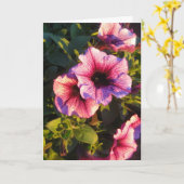 Roze petunia Bloedtuin Kaart (Gele Bloem)