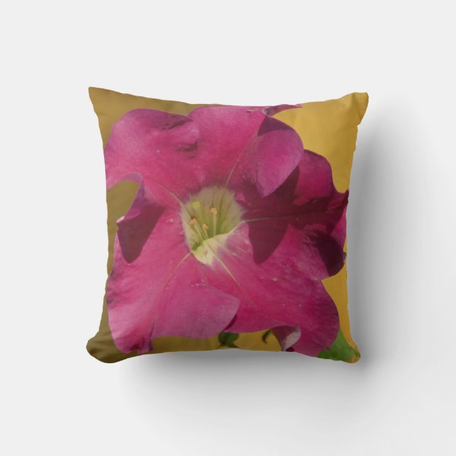 Roze petunia bloem, bijna effen roze kussen (Voorkant)