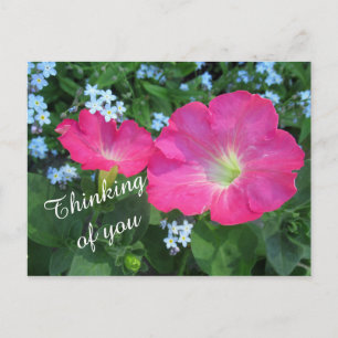 Roze Petunia Bloem Foto Denken aan U Briefkaart