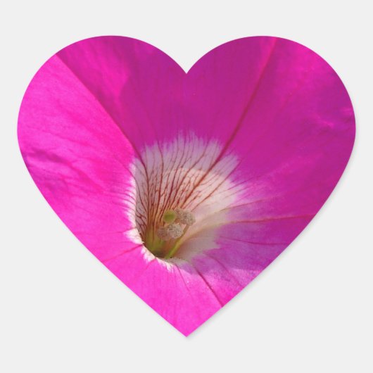 roze petunia bloem hart sticker (Voorkant)