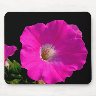 Roze Petunia Bloem Muismat
