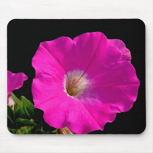 Roze Petunia Bloem Muismat (Voorkant)
