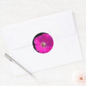 roze petunia bloem ronde sticker (Envelop)