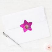 roze petunia bloem ster sticker (Envelop)