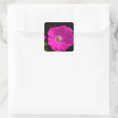 roze petunia bloem vierkante sticker (Tas)