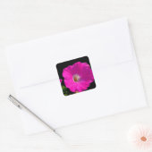 roze petunia bloem vierkante sticker (Envelop)