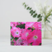 Roze petunia briefkaart (Staand voorkant)