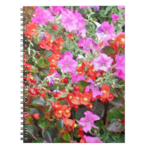Roze petunia en rode geraniums notitieboek