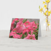 Roze Petunia Kaart (Gele Bloem)