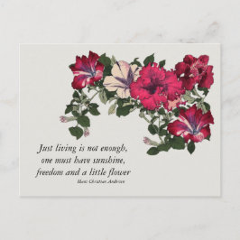 Roze Petunia met Hans C Andersen citaat Briefkaart