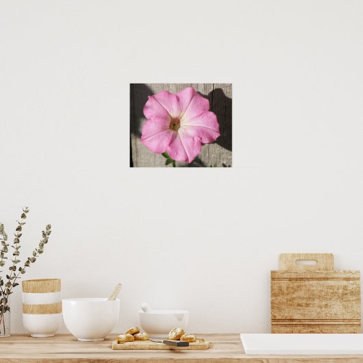 Roze Petunia Poster (Keuken)