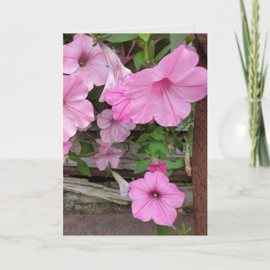 Roze Petunia's Denken aan jou Kaart (Voorkant)