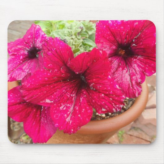 Roze Petunias Muismat (Voorkant)