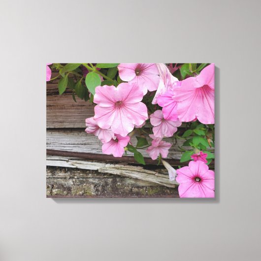Roze petunias op schuurhout canvas afdruk (Voorkant)