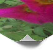 Roze Petunias Poster (Hoek)