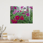 Roze Petunias Poster (Keuken)