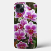Roze Phalaenopsis iPhone 13 Hoesje (Achterkant)