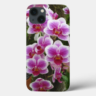 Roze Phalaenopsis iPhone 13 Hoesje