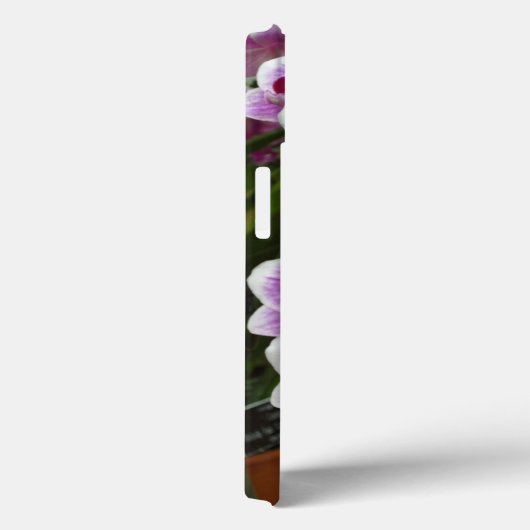 Roze Phalaenopsis iPhone 13 Hoesje (Achterkant / Rechts)
