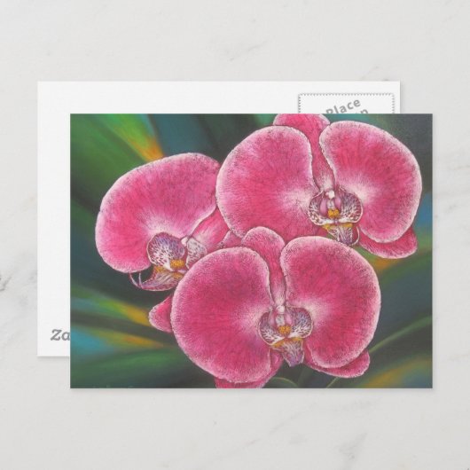 Roze Phalaenopsis Orchids Flowers Acrylverf Briefkaart (Voorkant / Achterkant)
