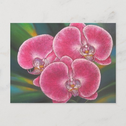 Roze Phalaenopsis Orchids Flowers Acrylverf Briefkaart (Voorkant)