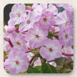 Roze Phlox Bier Onderzetter